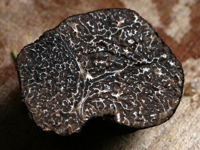 La truffe, le diamant noir