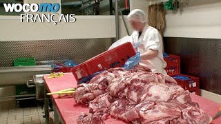 Alimentation, enquête sur les produits des supermarchés