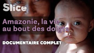 Amazonie, la vie au bout des doigts