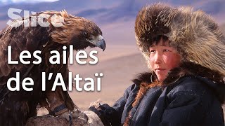 Apprivoiser un aigle pour devenir un homme en Mongolie