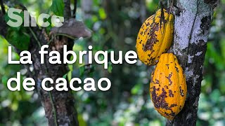 Baracoa, la capitale du cacao cubain