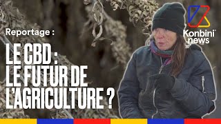 Documentaire Dans la ferme de Nathalie, productrice de chanvre