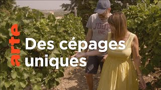 Documentaire Crète, le vin des dieux