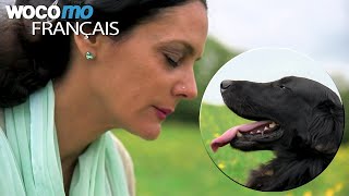 Documentaire Dans la peau des animaux – Comment décoder leur langage et leurs émotions