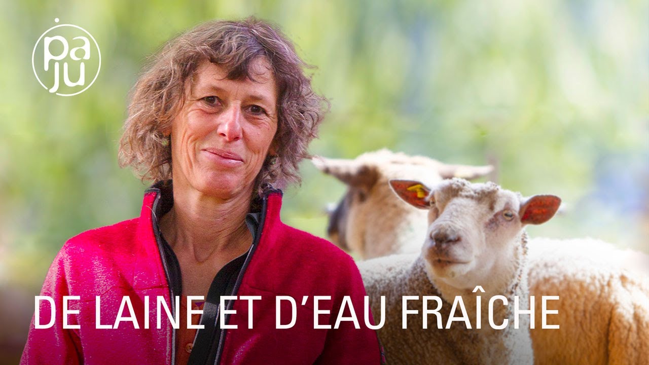 Documentaire Dans son petit paradis, Martine élève des moutons et revalorise la laine locale