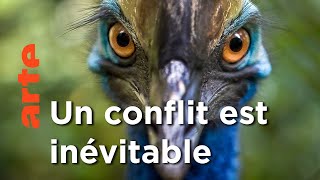 Forêts | Au coeur de l'Australie sauvage | Episode 04