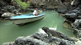 Documentaire Galápagos, paradis en sursis