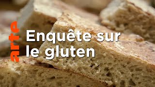 Documentaire Gluten, l’ennemi public ?
