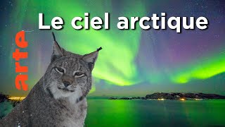 La fin d'un cycle | Une année sauvage autour de la Terre