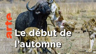 L'agitation | Une année sauvage autour de la Terre