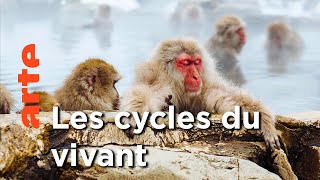 L'année commence | Une année autour de la Terre