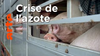 L’élevage intensif et la question climatique