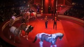 Les chevaux du Cirque d'Hiver