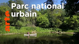Les nouveaux sanctuaires de la nature : Toronto