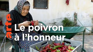 Les plats typiques de Macédoine