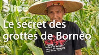 L’incroyable découverte de Tewet