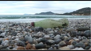 Documentaire A Hyères des associations se mobilisent contre le plastique rejeté en mer Méditerranée