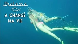 Nager avec les dauphins