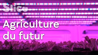 Documentaire Nouvelle agriculture : les LEDs, un soleil artificiel