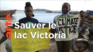 Ouganda : la demoiselle du grand lac