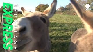 Documentaire Quand les néo ruraux se plaignent de la vie à la campagne