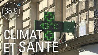 Réchauffement climatique et santé