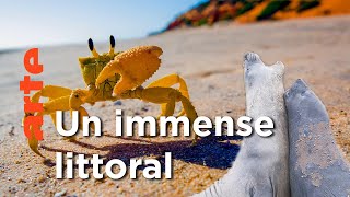 Rivages | Au cœur de l'Australie sauvage | Episode 03