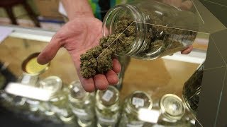 Sommelier en cannabis: un métier en développement