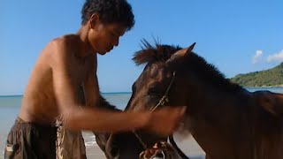 Documentaire Terres de légendes | Les chevaliers de l’ile de Sumba