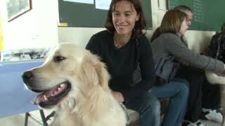 Documentaire Un chien pour surmonter le handicap