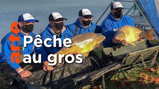 Une compétition au lac Balaton