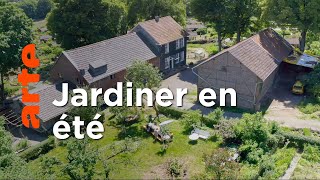 Une journée d'été | La vie sauvage du jardin