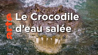 Zones humides | Au cœur de l'Australie sauvage | Episode 01