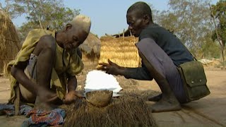 Documentaire A la recherche du grand serpent