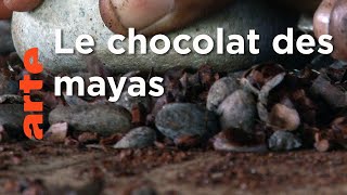 Belize, le cultivateur de cacao