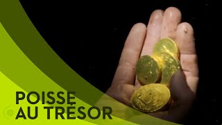 Documentaire Chasse au trésor