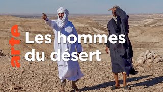 Dans les pas des chameliers du Sahara