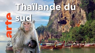 Îles et plages du Sud | Thaïlande, la beauté sauvage