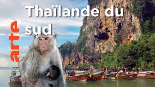 Documentaire Îles et plages du Sud | Thaïlande, la beauté sauvage