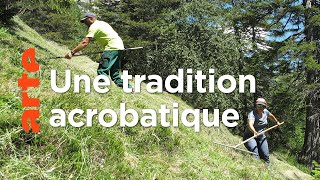 Documentaire La fenaison en montagne, une tradition suisse