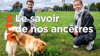 Le retour des médecines douces