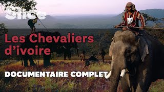 Documentaire Les Chevaliers d’ivoire