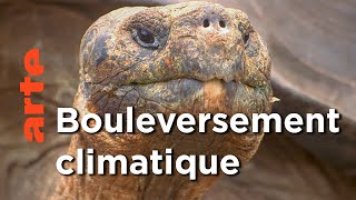 Les Galapagos - Province équatorienne | Voyages aux Amériques