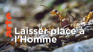 Les campagnes | Le Danemark sauvage