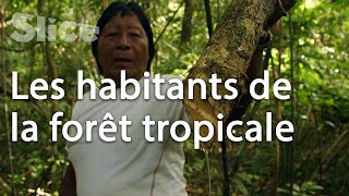 Documentaire Les gardiens de la forêt en Guyane française