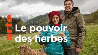 Documentaire Les herbes folles, un trésor méconnu