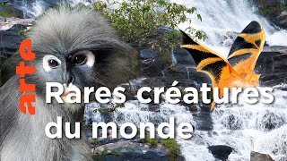 Les montagnes du Nord | Thaïlande, la beauté sauvage