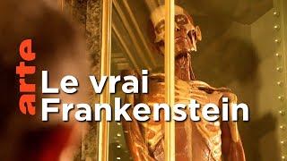 Luigi Galvani, l’homme derrière Frankenstein