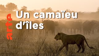 Un camaïeu d'îles | Okavango, le fleuve-vie