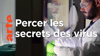 Documentaire Virus et épidémies : l’île-laboratoire